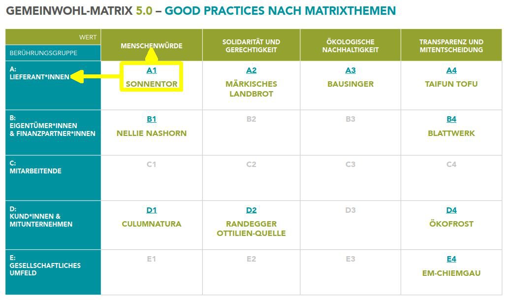 GWÖ-Matrix 5.0