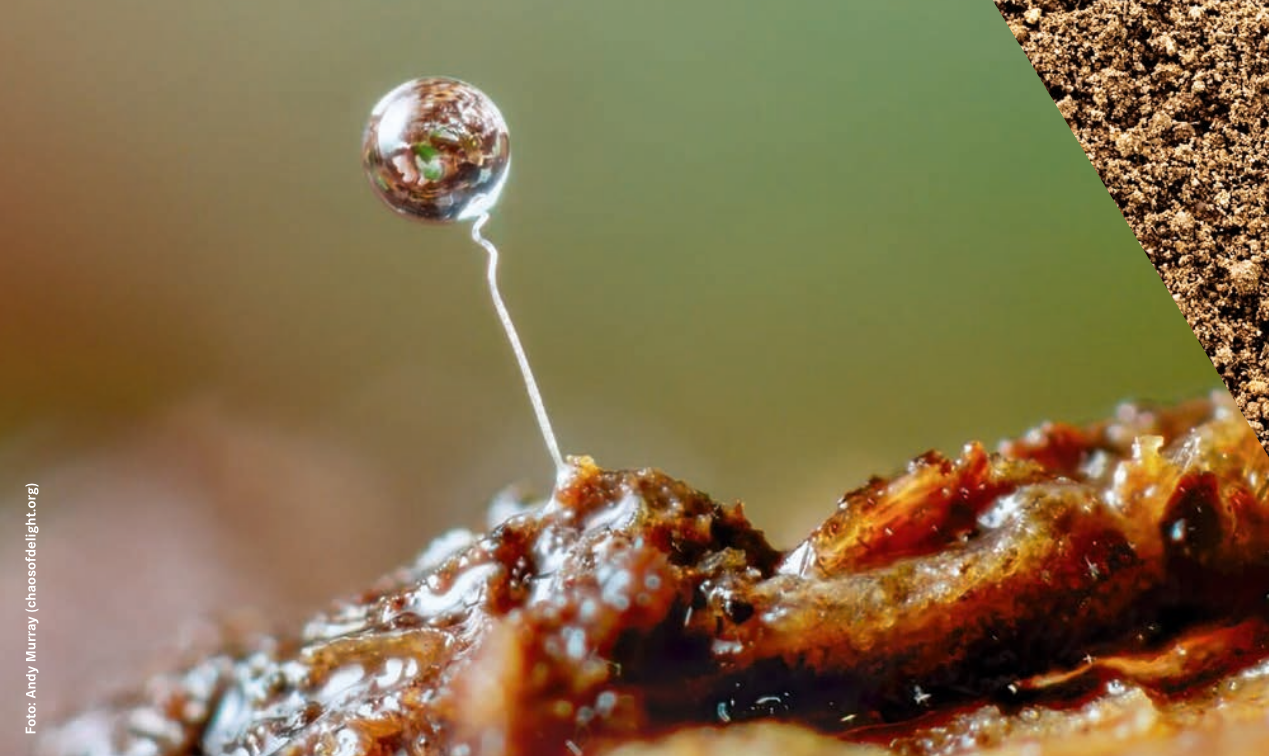 Die unw-Nachrichten 2025 sind da