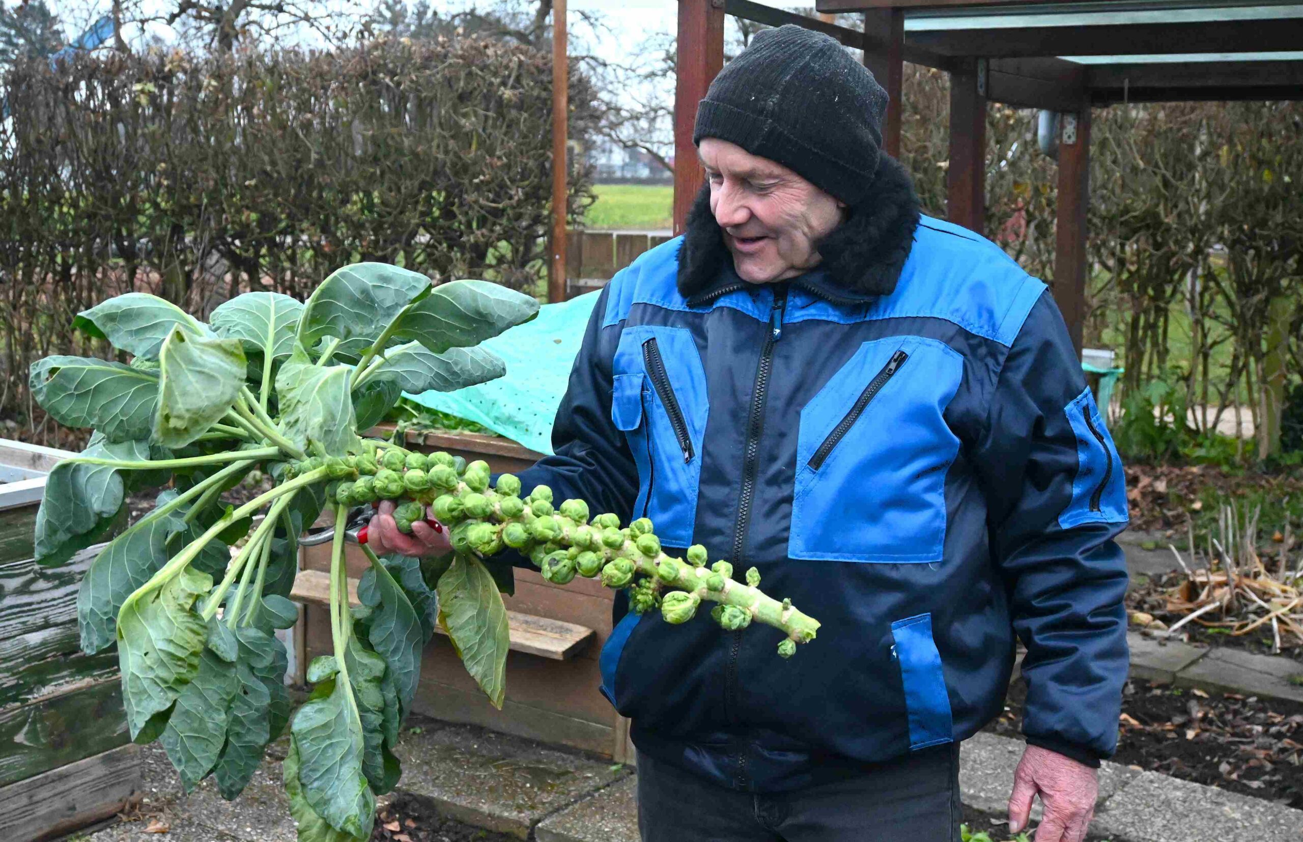 Die Natur macht keine Winterpause